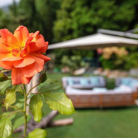Parkhotel Brenscino Brissago Εξωτερικό φωτογραφία