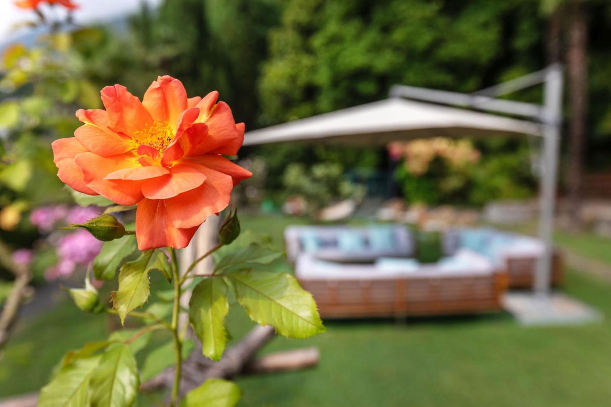 Parkhotel Brenscino Brissago Εξωτερικό φωτογραφία